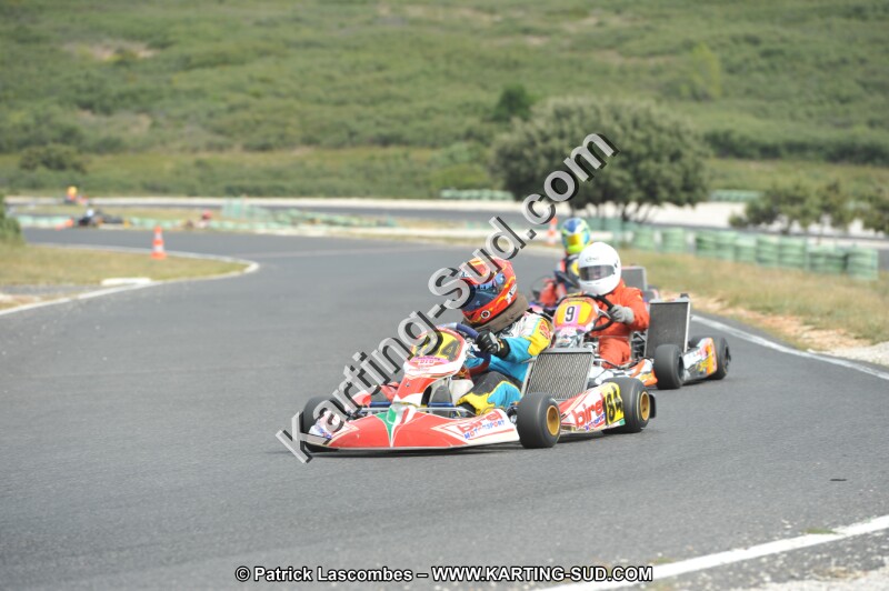 DSC (3555).JPG